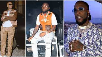 Wizkid lives up to his song 'no stress', looks away as Davido and Burna Boy get physical in nightclub (video)