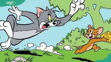 The 15 most iconic cartoon duos of all time who had no romantic relationship, ranked
