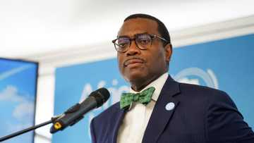 Africa Development Bank slams ban Nigerian CEO, company for 15 months over fraud