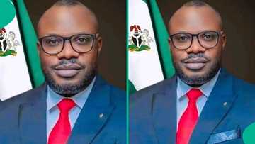 Allegations against Amnesty Coordinator false, says group