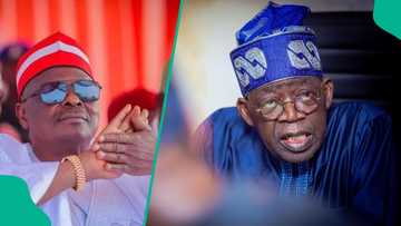 'Akwai aiki a zaben 2027': Kwankwaso ya fadi yiwuwar aiki da Tinubu, Jonathan