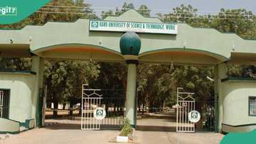 Tragedy in Kano as 300-level female student dies in her apartment, university reacts