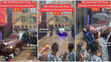 "I love this": Trending video shows sweet moment King Charles got out of his car to greet a Nigerian man