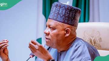 "Turning Borno State into hell is your only legacy", Atiku's aide to Shettima