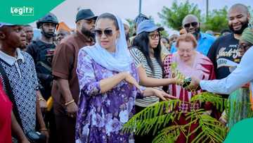 Climate change: Natasha unveils 10,000 economic trees initiative