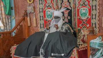 An yi kus-kus tsakanin Sarkin Kano da takwaransa na Katsina