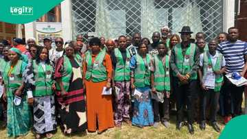 Seyi Tinubu’s agric initiative trains 64,734 youths, targets 5m votes for president’s re-election