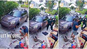 "They didn't check the house": Police officers storm apartment as parrot cries to be helped, video goes viral