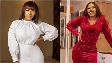 BBNaija reunion: I, myself, Natacha Akide has never thrown a shade at you - Tacha tells fellow housemate Mercy (video)