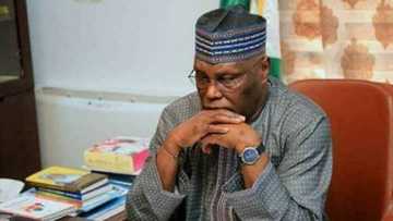 2023: Afegbua ya bar Atiku, ya ce ya shirya yaki da duk dan arewa da PDP ta bai wa takara
