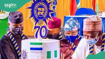 WAEC: Breakdown of Nigerian students' pass rate in WASSCE Since 2014 emerges