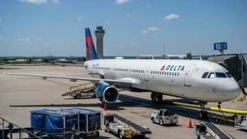 Delta reports profit jump but lowers earnings forecast