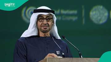 UAE announces 3 categories of foreigners who can obtain Green Residence Permit without a sponsor