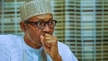 Buhari ya yi alhinin mutuwar abokinsa Muhammad Adahama