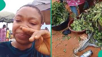 Lady cries after bumping into 'old time rich friend' selling vegetables at market, video trends