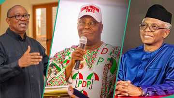 2027 elections: List of top politicians working against Tinubu's second term
