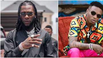 Hand it Over to Wizkid, Fan Says as Burna Boy Searches for Younger artist to Hand Over to