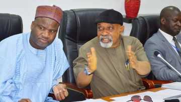 ASUU strike: SERAP urges UN to prevail upon agreement between FG, union