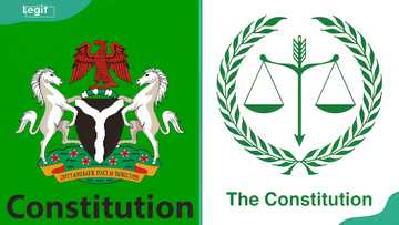 6 types of constitution: Their advantages and disadvantages