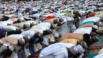 Terrorism is alien to Islam, no good Muslim will kill fellow human beings - Sheik Al-Imam