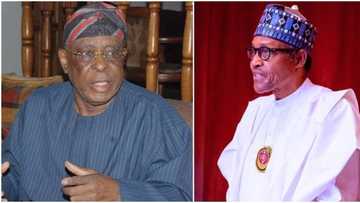 2023 Presidency: Former governor reveals who will succeed Buhari