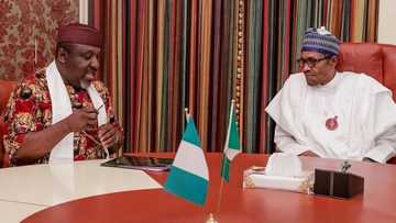 Shugabanni su farka, mulkin kama-karya ne yake fusata matasa - Okorocha