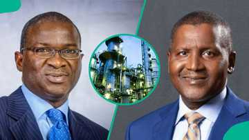 Fashola opens up on land deal decision that secured Dangote Refinery project for Lagos