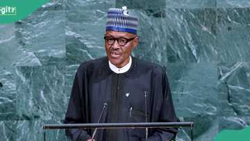 Buhari reportedly spent days in ICU after falling ill In London