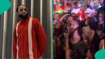 Tyla, Tems, others unwind at DJ Obi's house party, video trends: "Rema don enter inside life"