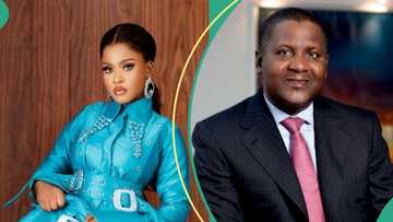 BBNaija Phyna shares suspicion about billionaire Dangote after sister's tragic death, video trends