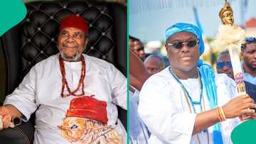 Pete Edochie Breaks Silence on Viral Ooni of Ife Greeting Controversy