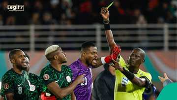 Tunisia coach slams Victor Osimhen, explains how Nigerian striker disrespected him