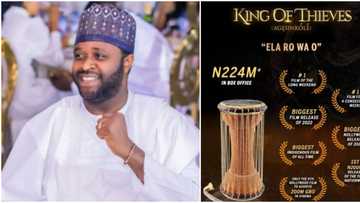 Biggest indigenous film: Femi Adebayo’s King of Thieves breaks records, makes over N224m in just 4 weeks