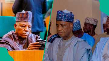 2027 election: Wamakko reacts to purported VP ambition amid rumours on Shettima's fate