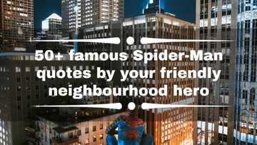 50+ famous Spider-Man quotes by your friendly neighbourhood hero