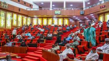 Updated: Senate clears air on alleged proposed creation of 20 new states