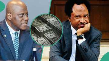 "Dollar no de fear Cardoso again": Shehu Sani reacts as Naira crashes to N1,140/$ in parallel market