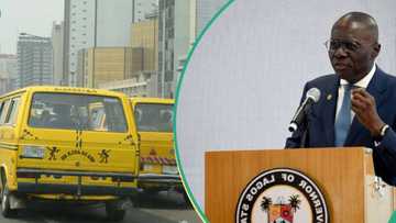 Is Sanwo-Olu banning Danfo, Korope, in Lagos on October 1? Governor's aide explains