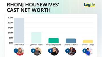 Dina left after two seasons and still came out richest — the RHONJ housewives ranked by net worth