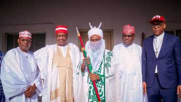 Daga Zuwa Yawon Kamfe, Kwankwaso Ya Samu Sarautar Gargajiya na 'Jarumin Karshi'