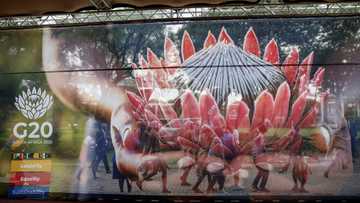 Five things to know about the first G20 held in Africa