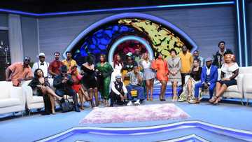 BBNaija ‘Shine Ya Eye’ Reunion, Pulse and Other Interesting Titles on Showmax this June