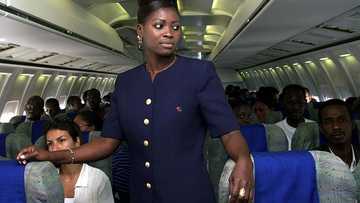 Woman spoiled 8-hour flight for other passengers – After the trip, the captain put her in her place