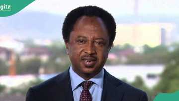 “Ana Fama Har Yau”: Shehu Sani Ya Magantu Kan Maida N794,000 Mafi Karancin Albashi