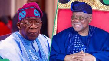 Yuletide: Tinubu told to slash petrol price to N300 per litre, reason emerges