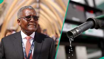 Dangote refinery replies depot owners after claims its petrol N65 cheaper in Togo