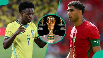 Brazil vs Morocco: Mysterious cat predicts 2026 FIFA World Cup match