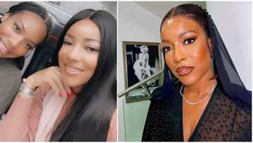 She got her face and voice: Joselyn Dumas flaunts daughter in video, fans amazed by their resemblance