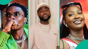 Davido at Coachella 2026: Wizkid, Burna Boy, Eazi, other Nigerian acts who have graced iconic stage