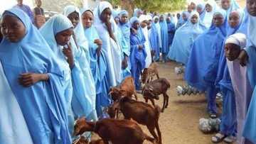 Mata za su samu tallafin akuyoyi da bunsuru 47,544 daga gwamnatin jihar Jigawa